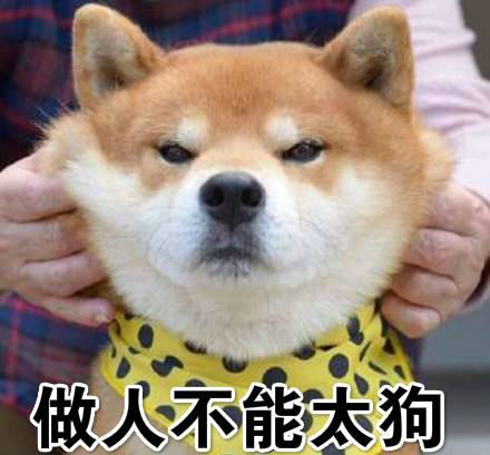 尊龙人生就是博d88，gdx是什么梗和意思缩写 gdx出自d